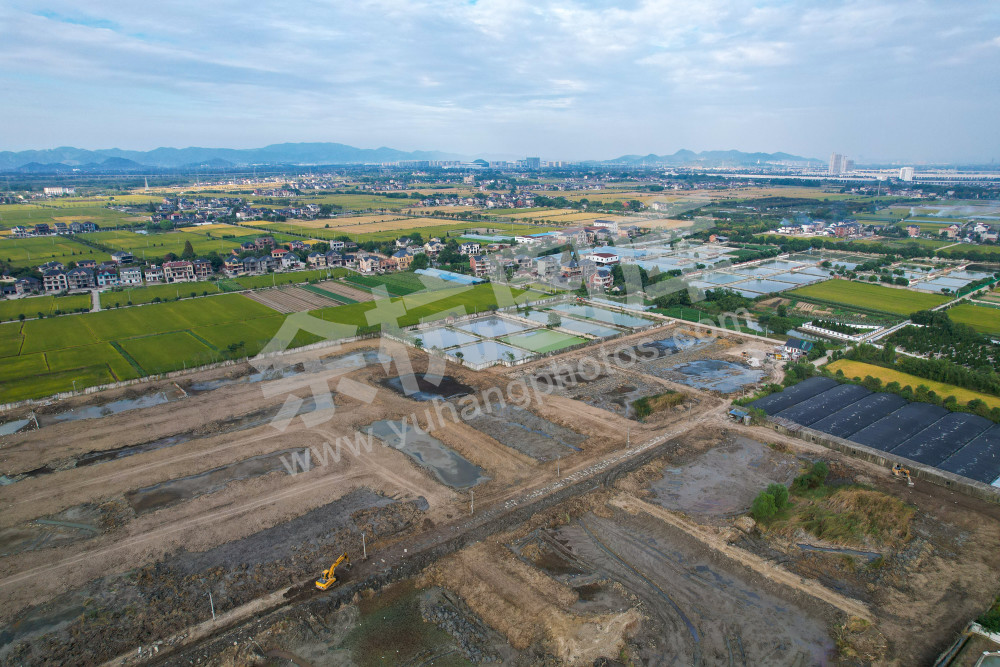 《鱼塘里的共富路》