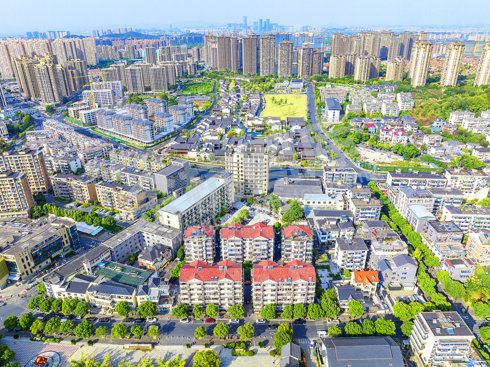 《今日新闲林》