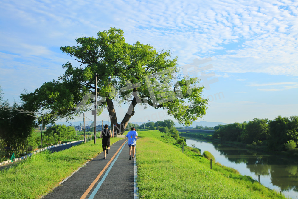 《苕溪 . 晨跑》