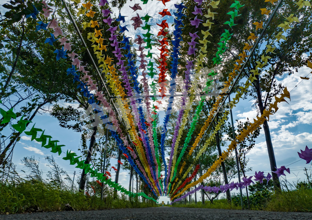 《美丽港南村》 