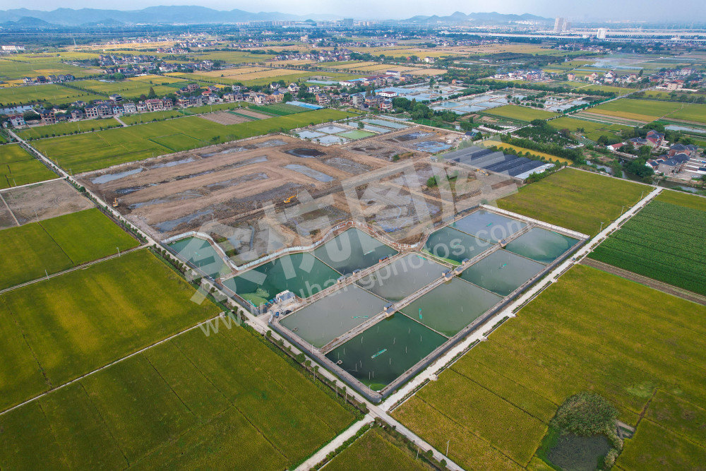 《生态鱼塘美如调色板》