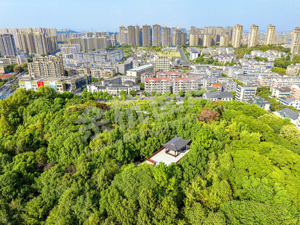 《今日新闲林》