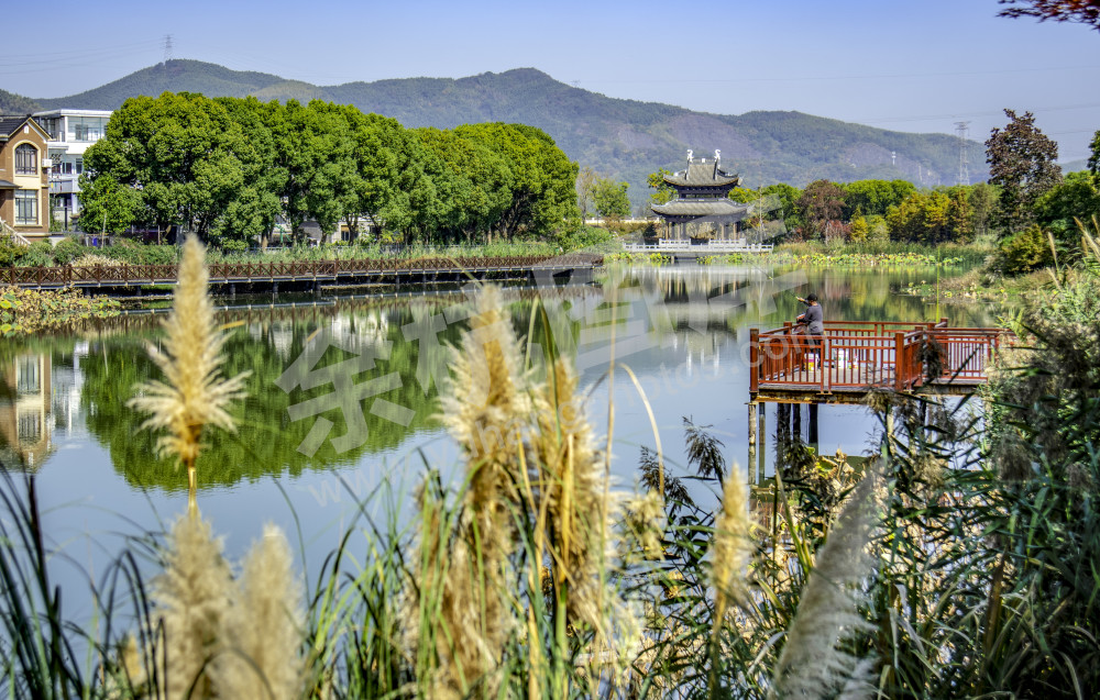 休闲垂钓在河边