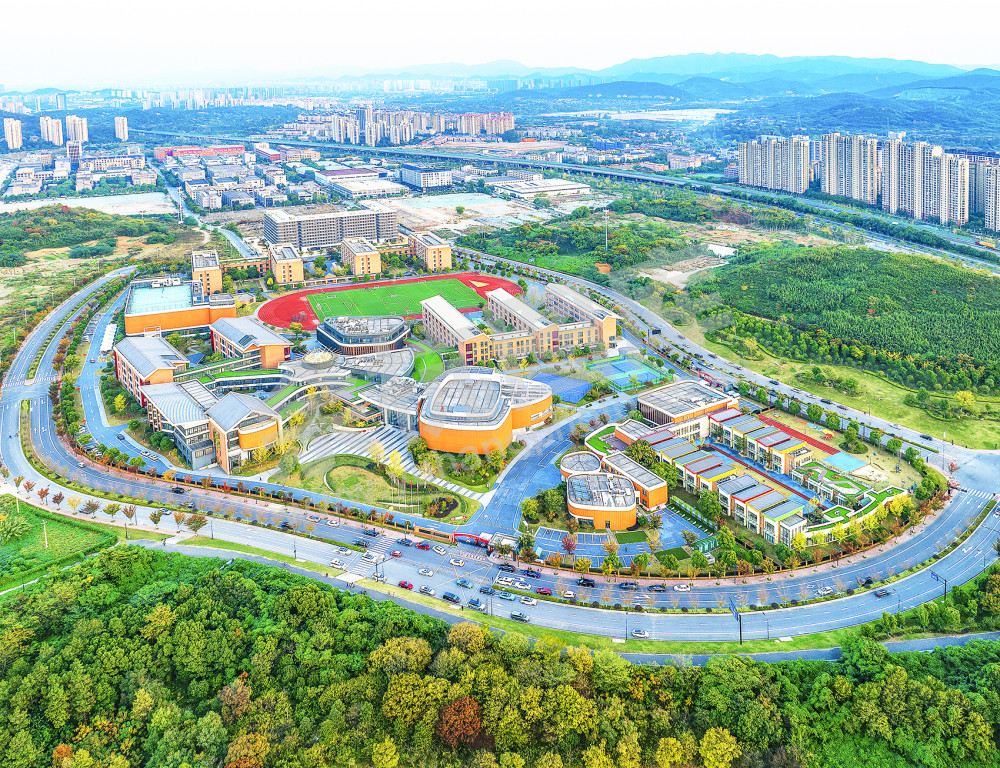 《 引进名校资源 提升教育配套》