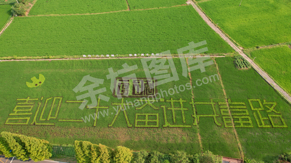 《奋进共富路》