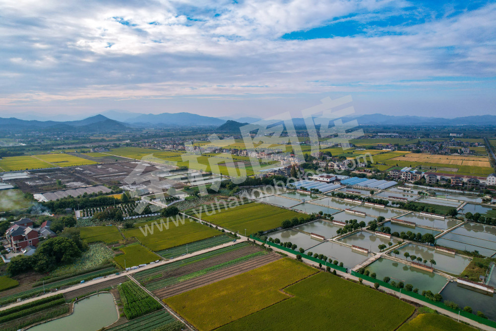 《鱼塘里的共富路》