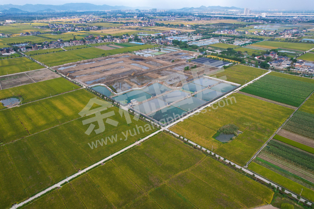 《鱼塘里的共富路》