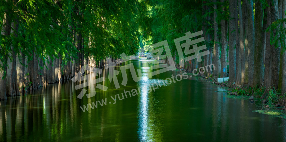 《夏日天堂》