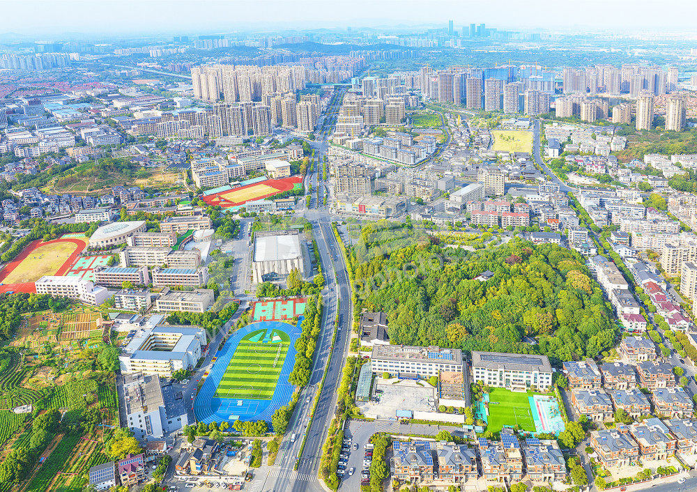 《今日新闲林》