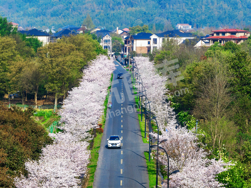《最美省级公路漕雅线》