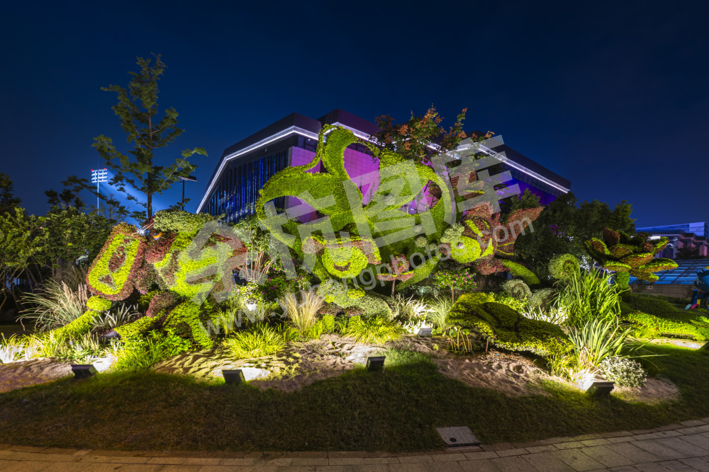 余杭城市亚运花坛夜景