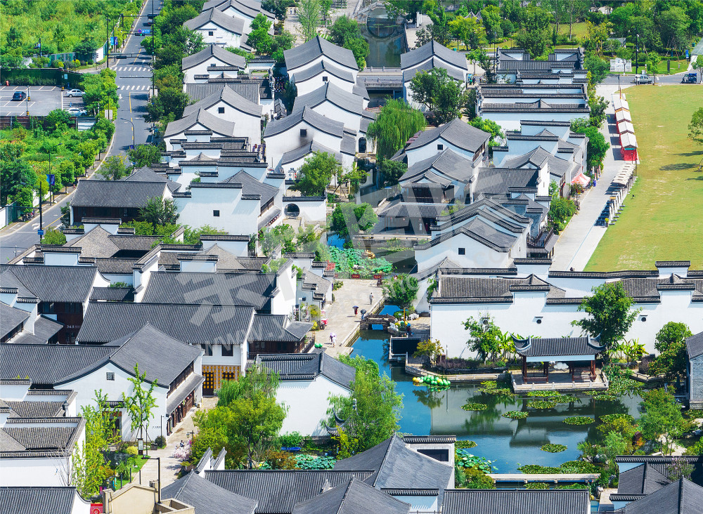 《闲林老街 江南雅韵》