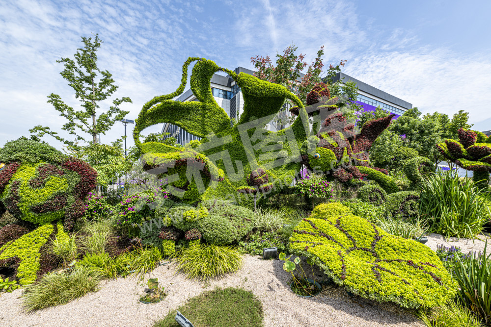 花满杭城  香飘亚运---余杭亚运景观花坛