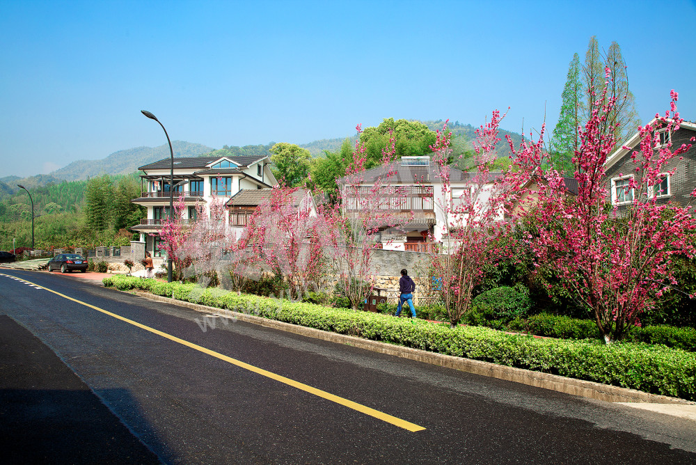 扮靓美丽乡村 共迎美丽亚运