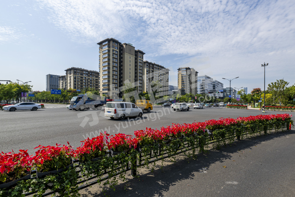 扮靓余杭道路景观