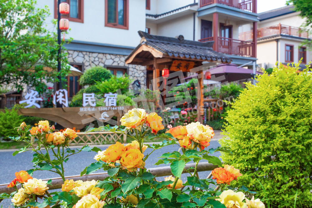 未来乡村让城市更向往