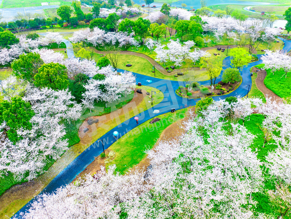 《忽如一夜雪花飘》