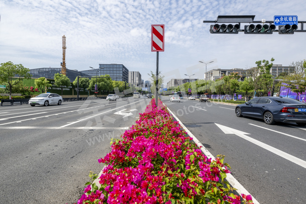 扮靓余杭道路景观