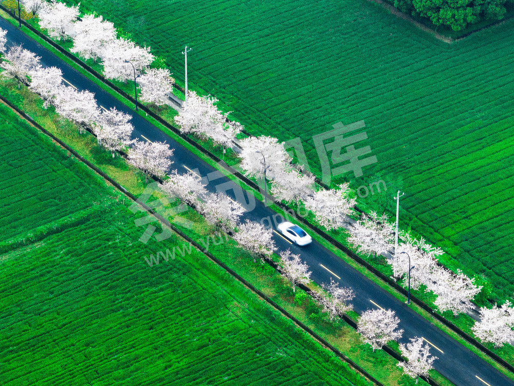 《醉美漕雅线公路》