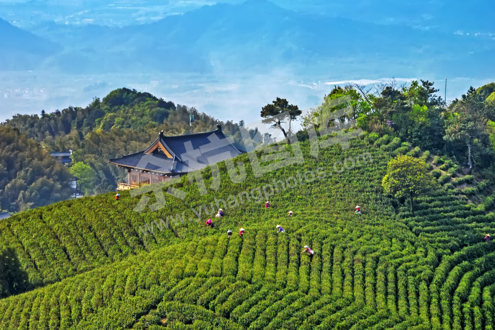 《径山茶宴（组照1）》