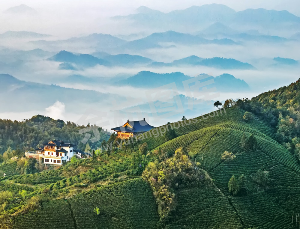 径山禅茶园