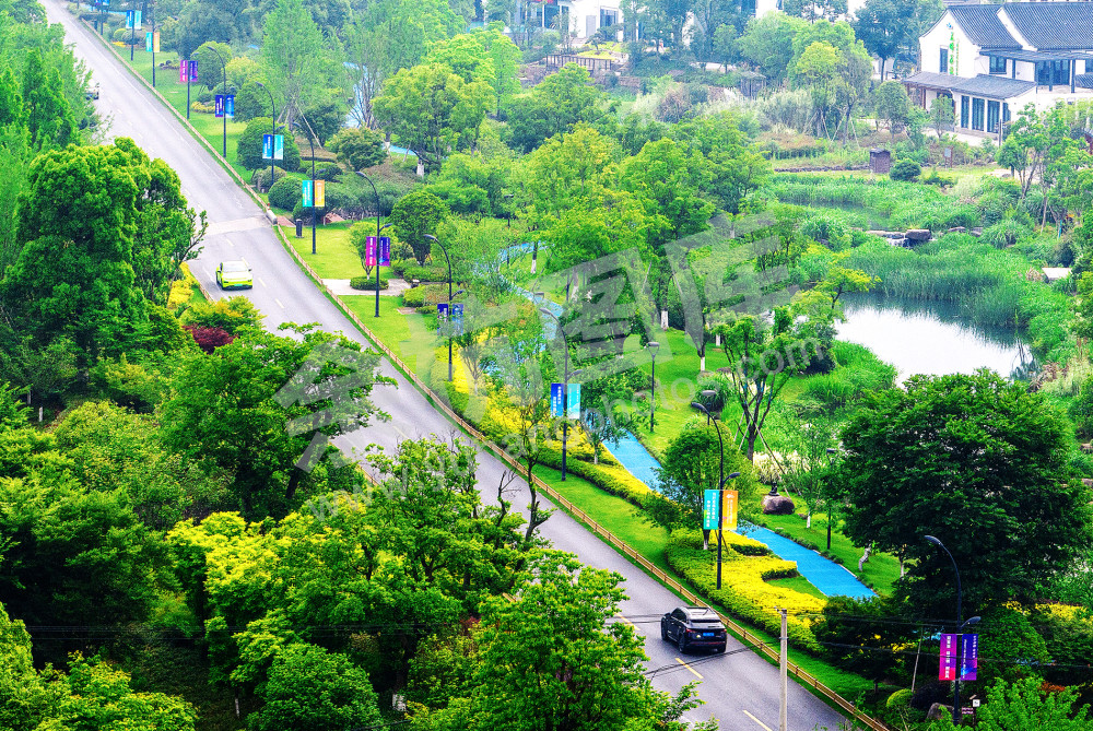 扮靓美丽乡村 共迎美丽亚运