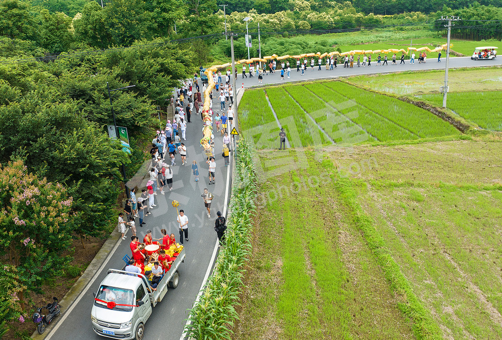 青山如游龙 还复野田中