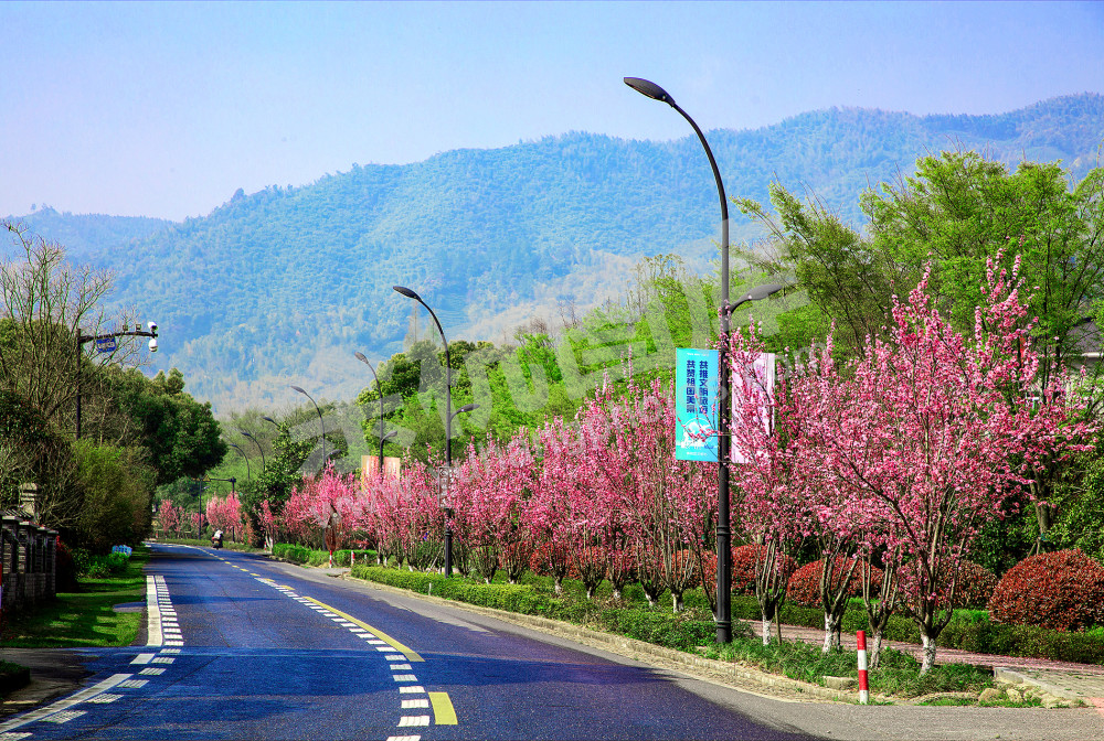 扮靓美丽乡村 共迎美丽亚运