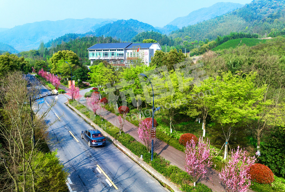 扮靓美丽乡村 共迎美丽亚运