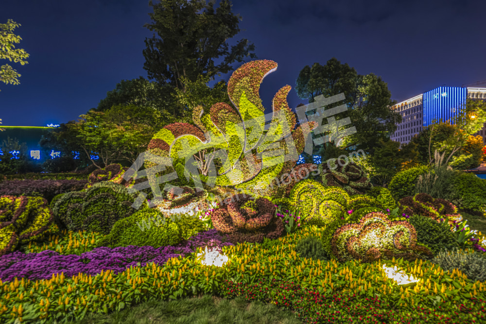 余杭城市亚运花坛夜景