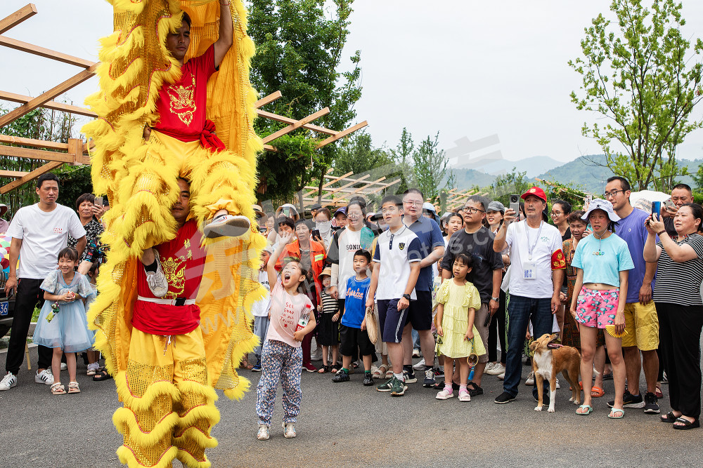 青山如游龙 还复野田中