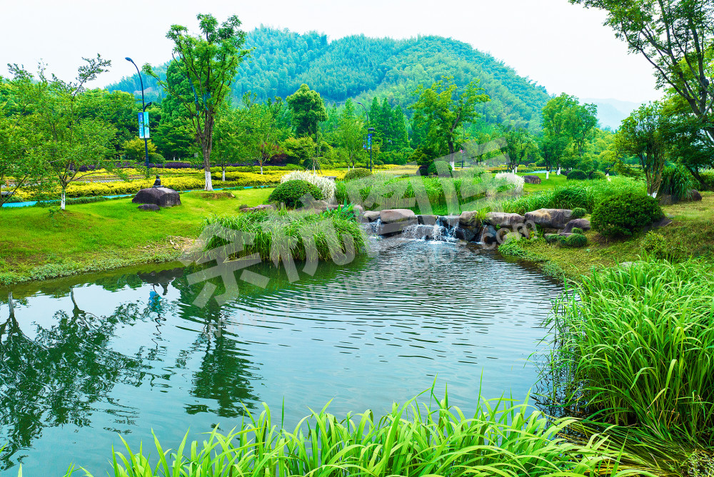 天下径山 人间问茶