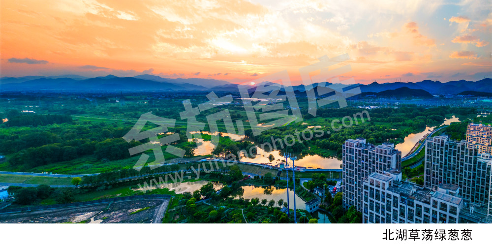 北湖草荡绿葱葱