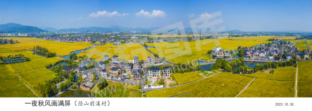 一夜秋风画满屏