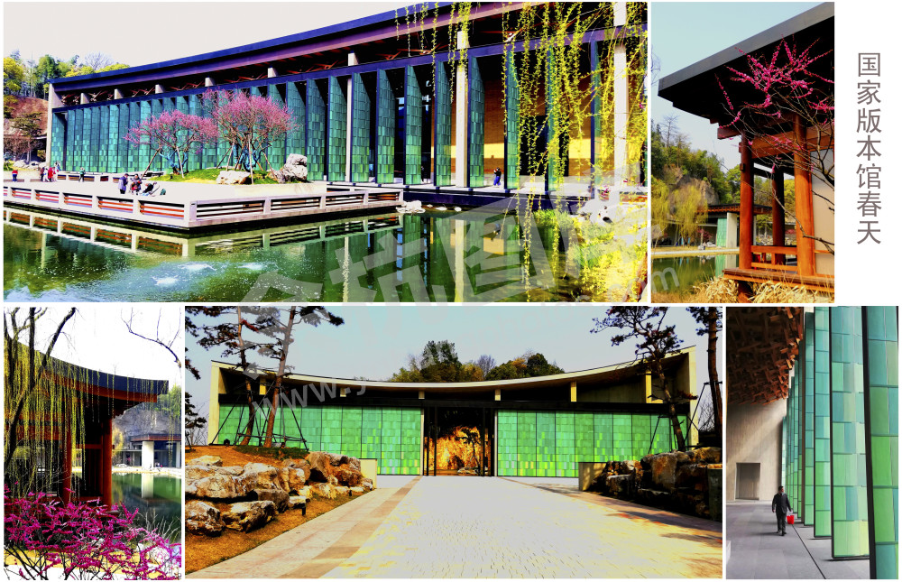 杭州国家版本馆的春天