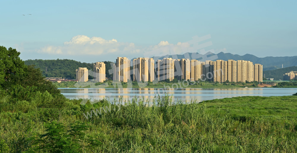 生长在自然里的都市