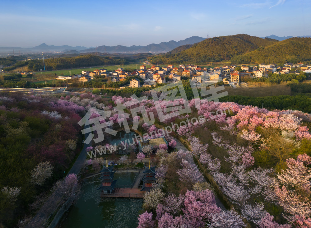 富美乡村新画卷