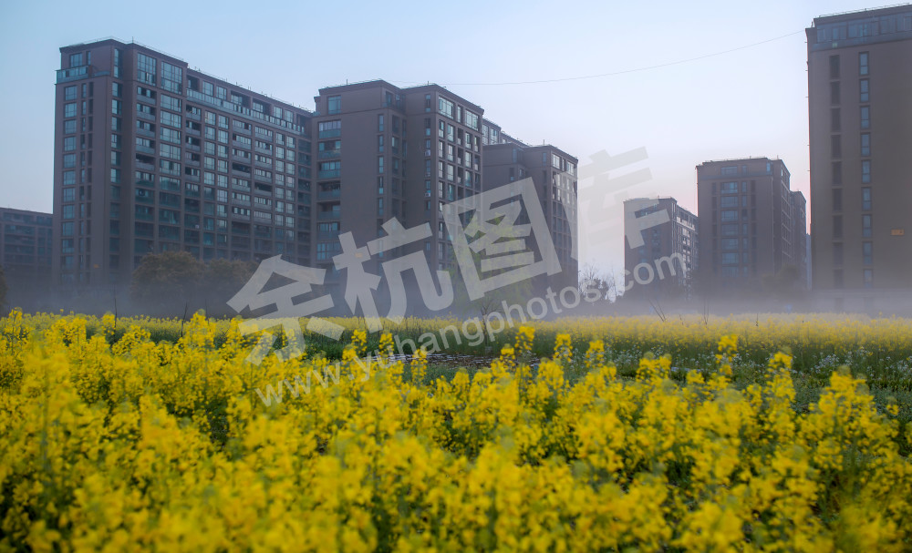 《春暖花开》