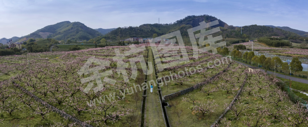 家住桃花山