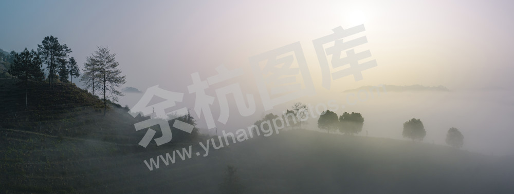 茶园仙境（组6）