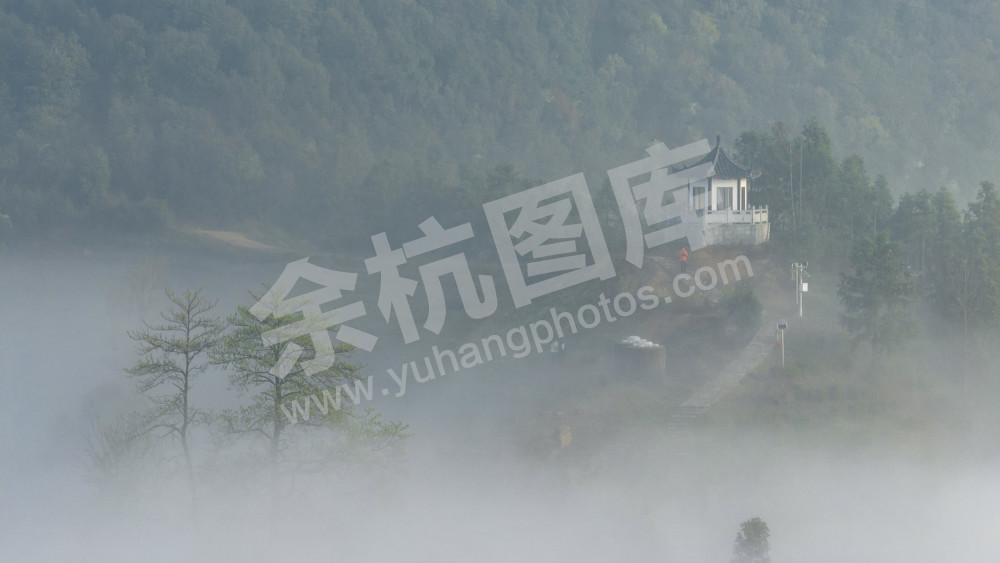 茶园仙境（组1）