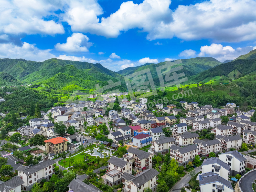 禅茶第一村