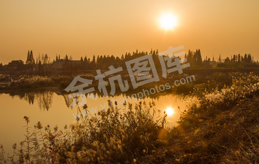 《草荡暮色》