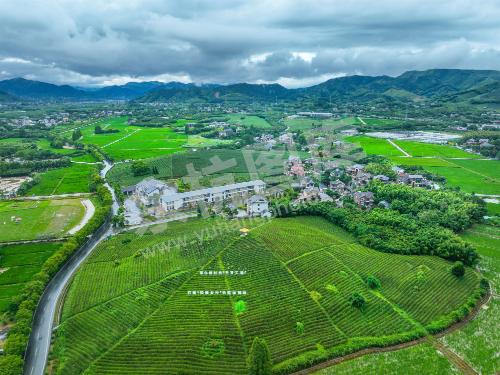 《小古城村茶园》