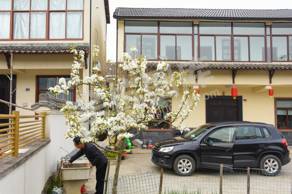 《共同富裕的径山村》