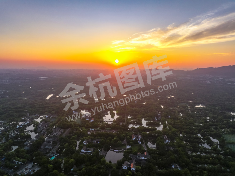 湿地之晨