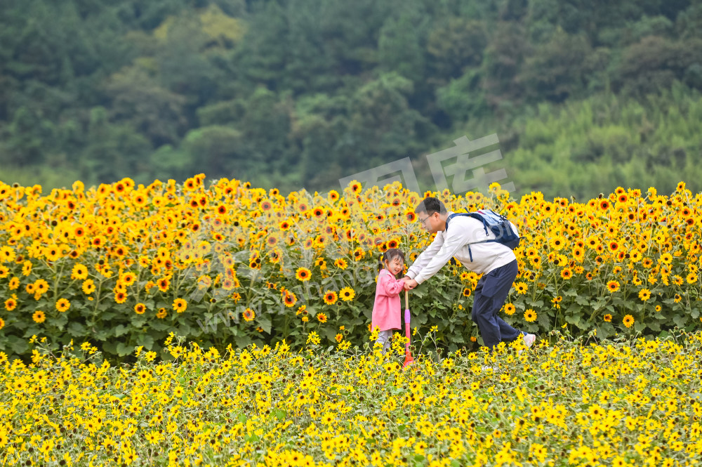 径山花海美如画