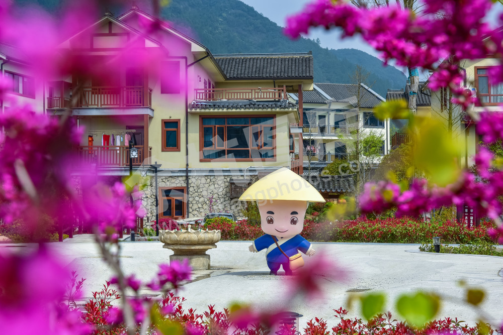禅茶第一村