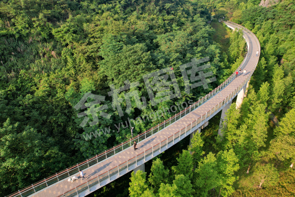 《凤凰山休闲公园》