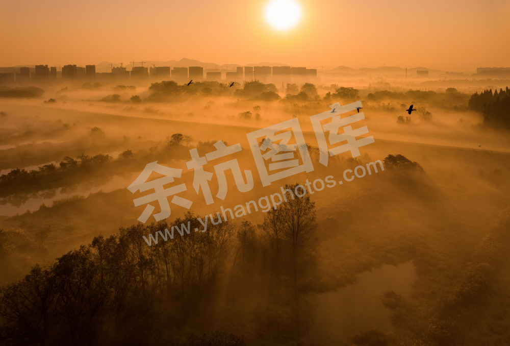 《晨曦中的湿地与城市》